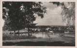 1909 LES ABRETS - Château Du Clombier. Un Coin Du Parc (étang, Bovin) - Les Abrets