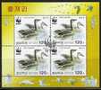 Q380.-.KOREA / COREA .- 2004 .- USED  SHEET.- WWF .- ANSER CYGNOIDES  / DUCK / PATOS / CANARDS.-  # 3 - Anatre