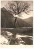 L'Alpe De Venosc ,Photo P.Michel (VUE SCAN) - Vénosc