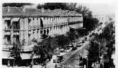 Sidi Bel Abbes -  Avenue De La Gare - Sidi-bel-Abbès