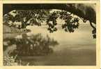 Delcampe - LAGO TANA (ETIOPIA) VEDUTA -  CARTOLINA DATATA 19/12/1939 - ADDIS ABEBA ANIMATA - Äthiopien