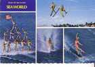 WATER SKI SPECTACULAR -  SEA WORLD  - 4 Vues - Waterski