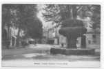 13 /FL/ SALON DE PROVENCE / Grande Fontaine Et Cours Carnod, Coll, L.A. (fontaine Moussue) - Salon De Provence