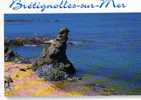 BRETIGNOLLES SUR MER COTE SAUVAGE - Bretignolles Sur Mer