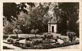 81 - Gaillac - Jardin Anglais Et Pavillon Dans Le Parc - CPSM - APA N° 18 - Gaillac