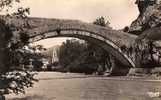 Vieux Pont Sur Le Verdon - Castellane