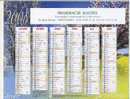 Calendrier 2008 Emis Par La Pharmacie Racine (Poissy, 78, Yvelines), Recto-Verso (27 Cm Sur 21 Cm) TBE. - Big : 2001-...