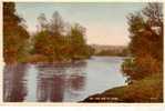 Old - Vintage Ireland Postcard - Carte Ancienne D´Irlande - Cork - Cork