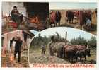 CPM        LES DIVERSES TACHES DE LA FERME  FENAISON  TRAITE   BUCHERON - Bauernhöfe