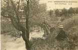 94 CHARENTON ST MAURICE Vue Artistique  Beau Plan Animé  1917 - Charenton Le Pont