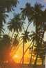 CP - PHOTO - BATU FERRINGI BEACH AT DUSK. - PENANG - - Malasia