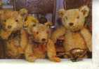 Teddy Bear Postcard - Carte Postale D´ours En Peluche - Bären