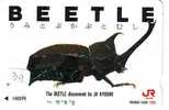 BUG - Punaise -  Kever - Insect (39) - Altri & Non Classificati