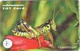 Grasshopper - Sauterelle - Heuschrecke - Sprinkhaan - Saltamontes (7) - Altri & Non Classificati