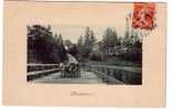 FRANCE DE VINCENNES /PARIS TRES VIEILLE  CARTE POSTALE VACHES HESITANTES SUR UN PONT EN BOIS OU POSANT POUR LA POSTERITE - Toros