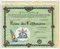 CARTE AVEC ENVELOPPE -  DIPLOME A DECERNER : REINE DES CELIBATAIRES - LAPIN STANLEY    ILLUSTR. DAN SALEL - Other & Unclassified