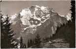 CH - BE - Mürren 1645 M - Mürrenbahn Mit Jungfrau - HMAK / CPSM (ungelaufen / Non Circulée) - Zug / Train - Mürren