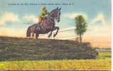 CR- Jumping For The Blue Ribbon At Aiken Horse Show, Aiken, S. C. - Hippisme