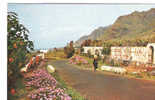 CP - PHOTO - ISLAS CANARIAS - CARRETERA 6 WAYSIDE FLOWERS - 20 - Fuerteventura