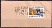 H0557 - ONU UNO GENEVE N°157 SURVIE DES FORETS - Used Stamps