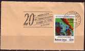 H0571 -  ONU UNO GENEVE N°177 LA POSTE - Used Stamps