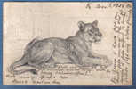 LIONNE (Lion) - Löwen
