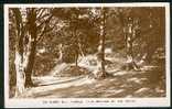Real Photo Postcard On Cluny Hill Forres Moray Scotland - Ref A39 - Moray