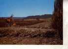 Sugar Cane Postcards - Carte Postale Sur La Canne A Sucre - Cultivation