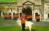 CEREMONIE DE LA RELEVE DE LA VIEILLE GARDE PAR LA NOUVELLE.......QUEBEC. CANADA. - Québec - La Cité