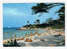 ILE DE PORQUEROLLES - La Plage D'Argent - Porquerolles