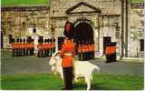 Canada - Quebec - Cérémonie De La Relève De La Vieille Garde Par La Nouvelle Garde, à La Citadelle. Royal 22e Regiment - Québec - La Citadelle