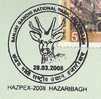 National Park, Deer, Stag, College, St. Columba College, Education,  India - Gibier