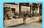 B - 78 - LE CHESNAY - éxposition D'horticulture - Stand F. Barbier - Le Chesnay