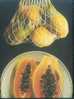 Fruit - Papaya (CaricaPapaya) - Culturas