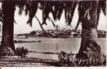 CPSM De Antibes (Alpes Maritimes 06): Echappée Sur La Vieille Ville à Travers Les Palmiers - Antibes - Old Town