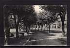 07 PRIVAS Place Du Foirail, Platanes, Ed MTIL 91, 1904 - Privas