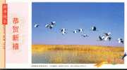 Grue Oiseaux Bird Crane  , Entier Postal Sur Carte, Articles Postaux - Cranes And Other Gruiformes