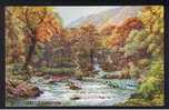 J. Salmon ARQ A.R. Quinton Postcard Watersmeet Lynmouth Devon - Ref A71 - Lynmouth & Lynton