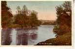 Old - Vintage Ireland Postcard - Carte Postale Ancienne D´Irlande - On The Lee River At Cork - Cork