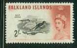 Falkland Isl. 1960-99, Yv. 133, Ouette Marine Oiseau - Bird Kelp Goose, Oblit. - Ducks