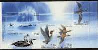 Finlande** Carnet N° C1189 - Oiseaux Aquatiques - Carnets