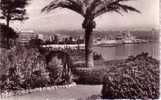 06 - Antibes - La Vieille Ville Et Les Alpes Neigeuses. - Antibes - Altstadt