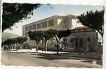 Cpsm GUELMA école Anatole France - N°2 Ed A Sirecky - Guelma