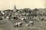 SUISSE - Châtel St-Denis - Châtel-Saint-Denis