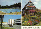 Carte Postale 67. Bischwiller  La Piscine Le Collège Et "Hanhoffen" Trés Beau Plan - Bischwiller