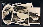 Real Photo Postcard Scottie Dog Guernsey Channel Islands - Ref 85a - Guernsey
