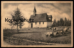 ALTE POSTKARTE MARTINSKAPELLE BEI TRIBERG SCHÖNWALD FURTWANGEN SCHWARZWALD Kuh Kühe Cow Cows Cpa Postcard AK - Furtwangen