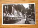 Tivoli Villa D'Este Viale Dell Cento Fontane  1930´s  VF  D19796 - Tivoli