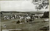 CP 1950 HOHENLUFTKURORT SCHONWALD IM SCHWARZWALD - Wald