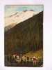 Glacier - Canadian Rockies   BC Canada   1910´s F   D19913 - Altri & Non Classificati